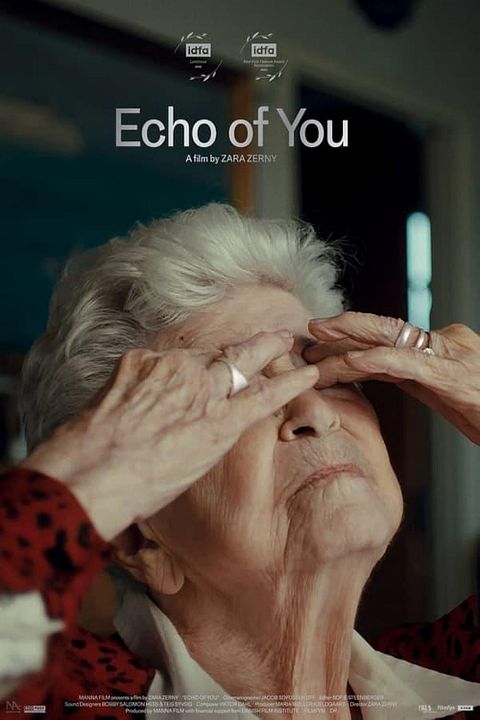 Echo of You : Póster