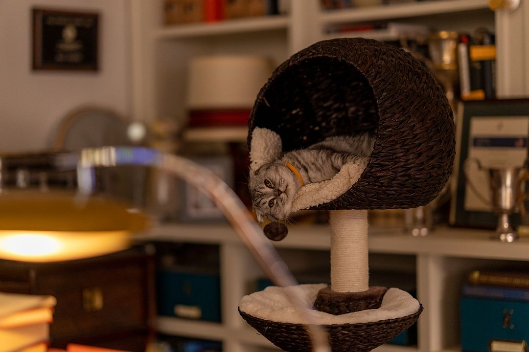 Argylle: Agente Secreto : Foto