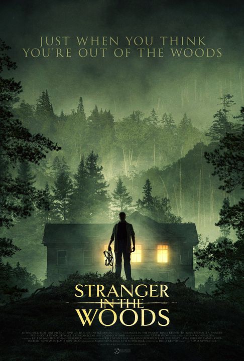 Stranger In The Woods : Póster