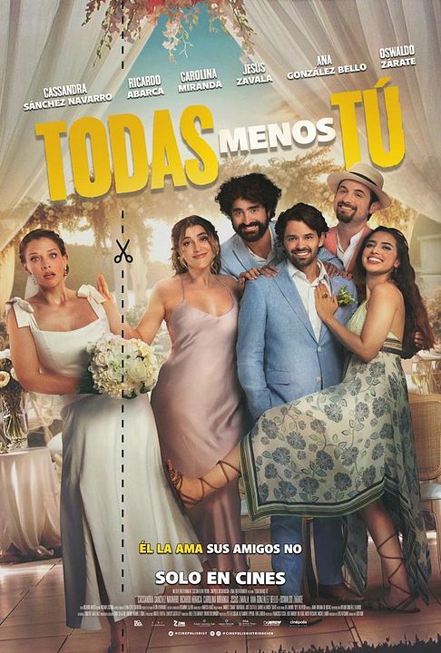 Todas menos tú : Póster