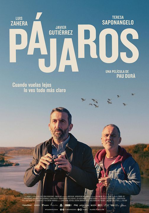 Pájaros : Póster