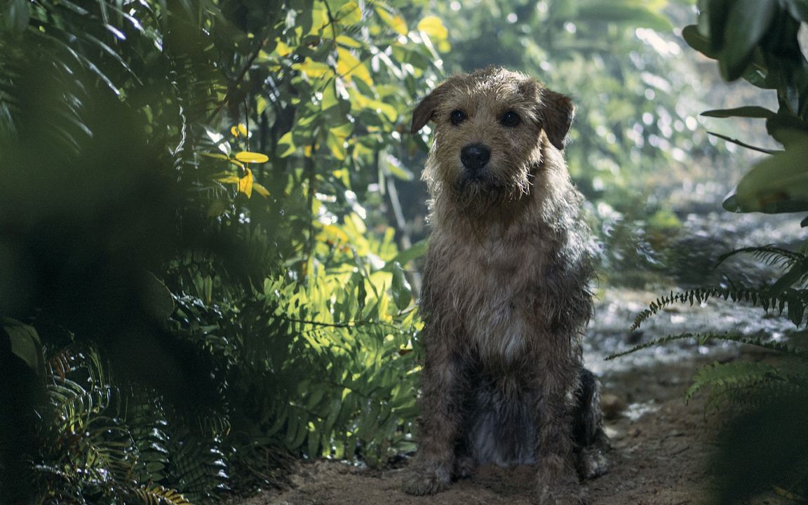 Arthur: Una Amistad Sin Limites : Foto