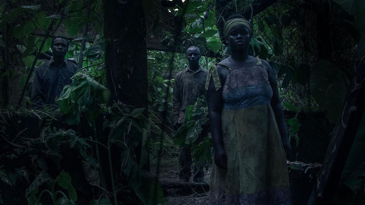 Yo vi tres luces negras : Foto