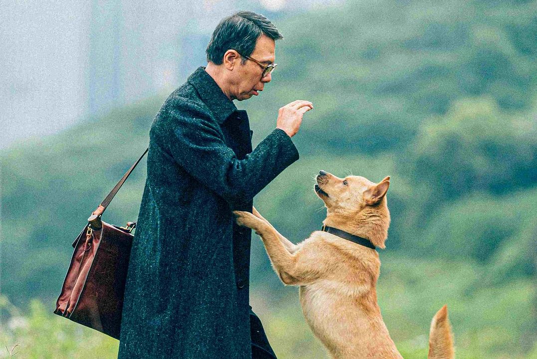 Hachiko: Una historia verdadera : Foto Xiaogang Feng