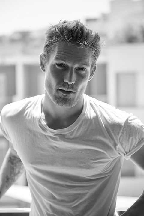 Póster Harry Goodwins