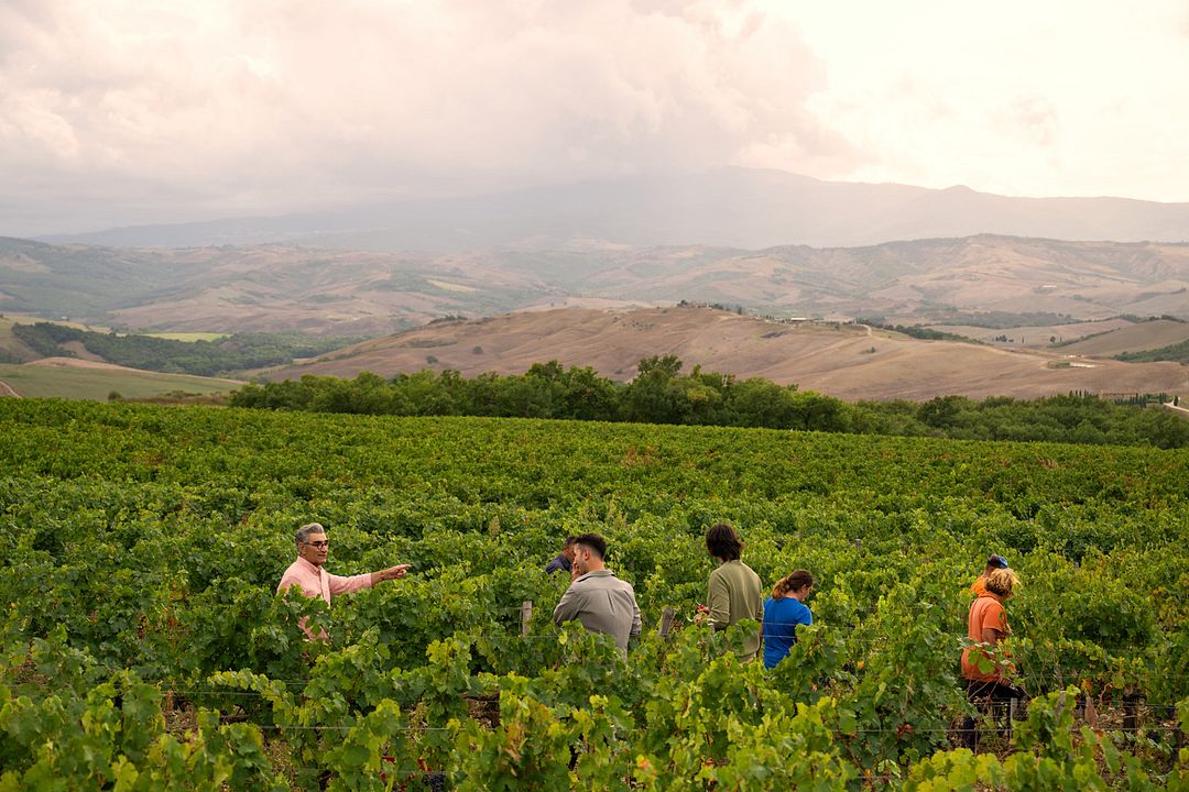 De (mal) viaje : Foto