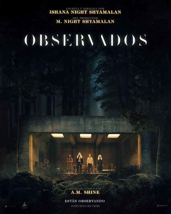 Observados : Póster