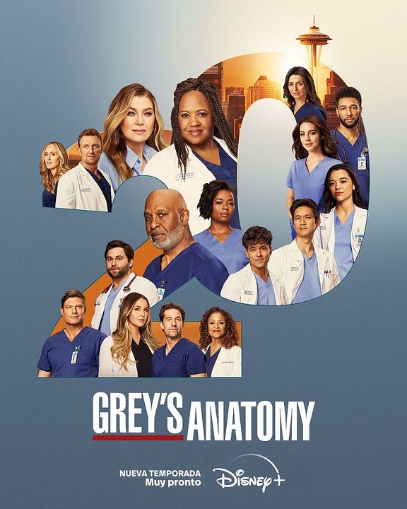 Grey's Anatomy : Póster