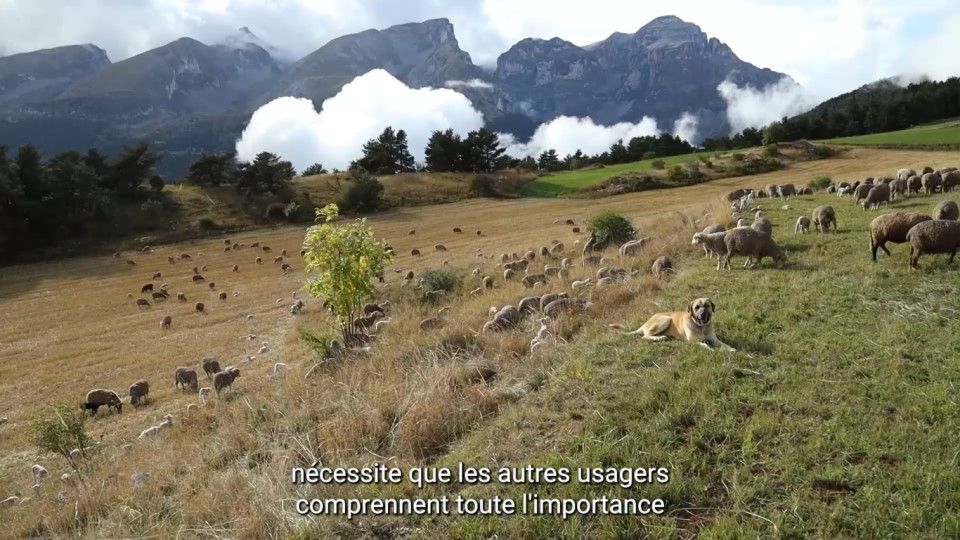 Trailer de la película Rasco & Nous - 'Rasco & Nous' - Tráiler oficial ...